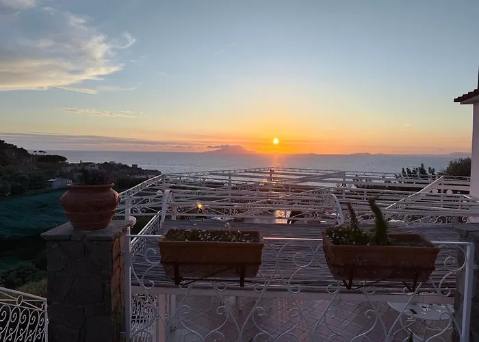 Hotel Dania