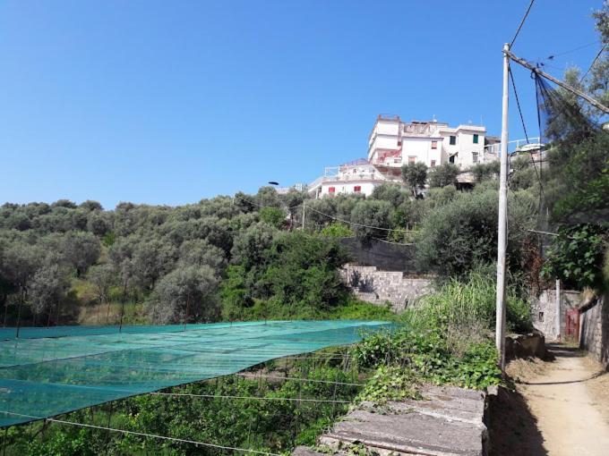 Hotel Dania Península Sorrentina